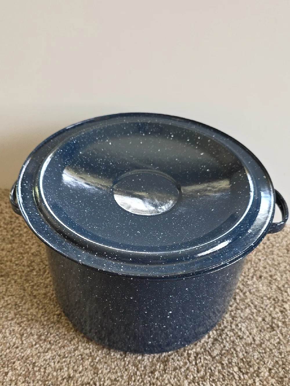 Stock Pot - Speckled Blue Enamel Stock Pot with Lid